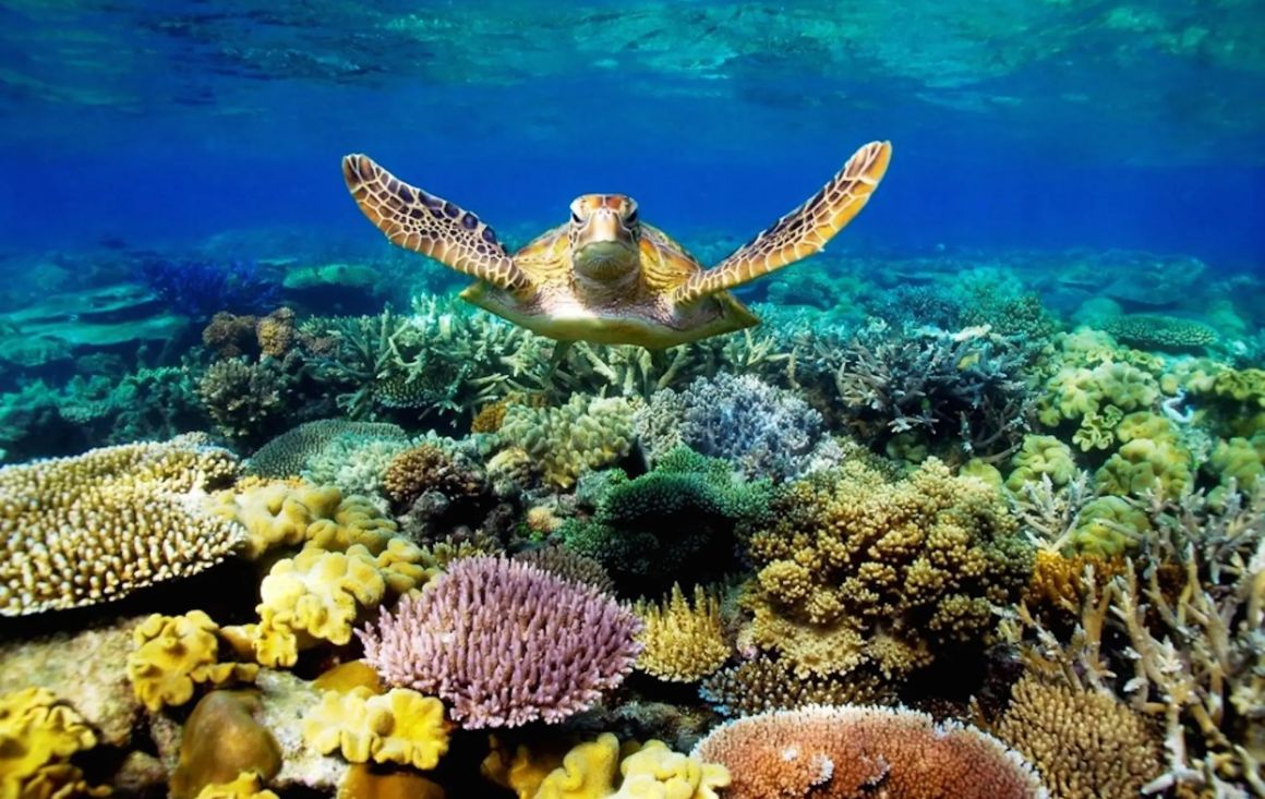 Great Barrier Reef